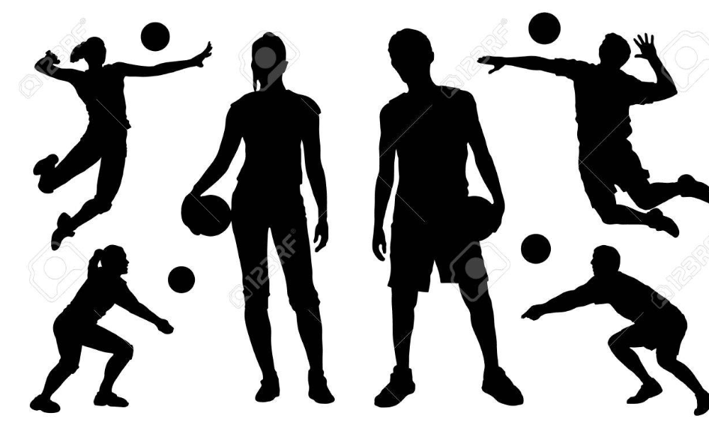 REPRISE DES ENTRAINEMENTS des Ã©quipes provinciales